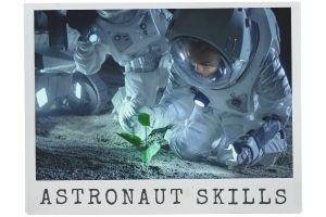 The Space Tester - Astronaut Skills